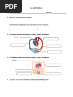 Control Nutricion 4 Primaria