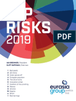 Top Risks 2019 Report