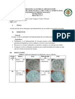 Informe 3 Alelopatia Lavanda