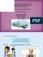 Bases Neuroanatomicas Del Lenguaje