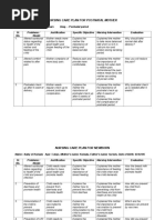 Nursing Care Plan For Postnatal Mother