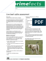 Evolution of Dentition in Cattle Life