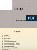 CELULA