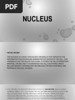 Nucleus