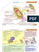 Biology For Kids