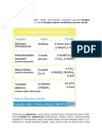 Respirasi Aerob