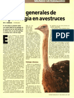 Avestruz PDF