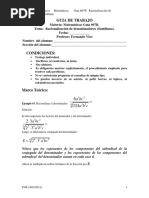 Racionalización de Denominadores (Santillana) PDF