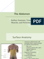 Abdomen Engl PDF