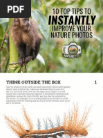 10 Top Tips To Instantly Improve Your Nature Photos 1 PDF