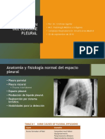 Derrame Pleural