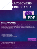 Hematopoyesis de La Serie Blanca