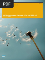 SAP Enhancement Package 8 For SAP ERP 6.0: Java and ABAP