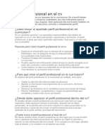 Perfil Profesional en El CV