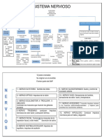 Sistema Nervioso