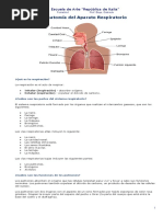 Tecnica Vocal El Falsete