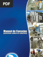 Manual Consejos ICCYC 2009