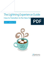 Lightning Experience Guide