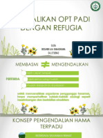 Mengendalikan OPT Padi Dengan Refugia