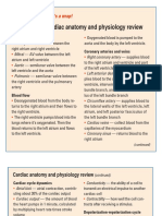 Cardiac Anatomy and Physiology