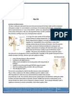 Hip OA: Anatomy and Biomechanics