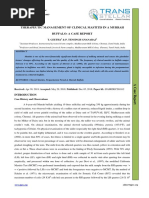 Therapeutic Management of Clinical Mastitis in A Murrah Buffalo: A Case Report