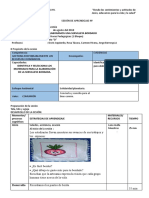 SESIÓN de APRENDIZAJE N1 Bordado de Servilleta