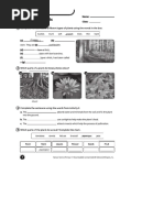 Slidedocus Diagnostic Natural Science 4 Primary Byme Plants