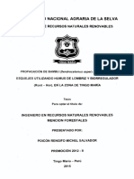 Propagación de Bambú (Dendrocalamus Asper) A Través de Esquejes Utilizando Humus de Lombriz y Biorregulador (Root - Hor), en La Zona de Tingo María PDF