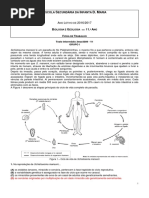 FT 09 U6 Ciclos de Vida TI e Exames 2009 - 2010 - 2014 CC