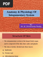 Anatomy Physiology of Integumentary System