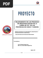 Proyecto Cuyesaa