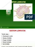 Sistem Limfatik