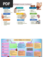 Resumen de Obstetricia