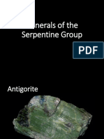 Minerals of The Serpentine Group PDF