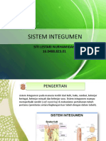 Sistem Intergumen