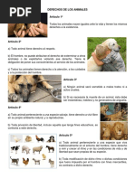 Derechos de Los Animales