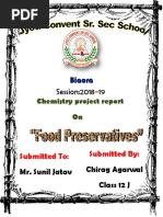 Food Preservatives Class 12th Project