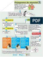 Flujograma de Atencion 1 PDF