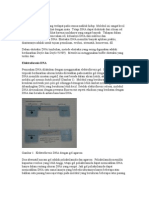 Isolasi DNA