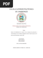 Proyecto de Factibilidad Bebida Energizante de Quinua Llamuca Obando 1