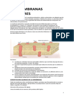 3 Membrana Plasmatica