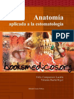 2010 Desarrollo y Biomecánica Del Arco Plantar