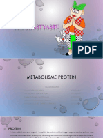 Metabolisme Protein