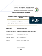 Documento Final