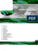 Toxoplasma Gondii - Joe Espinoza