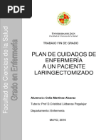 Trabajo Fin de Grado. Celia Martínez Alcaraz