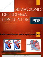 Malformaciones Del Sistema Circulatorio