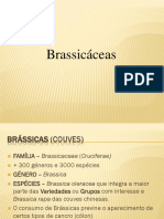 Brassicas PDF