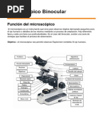 Trabajo Practico Del Microscopico